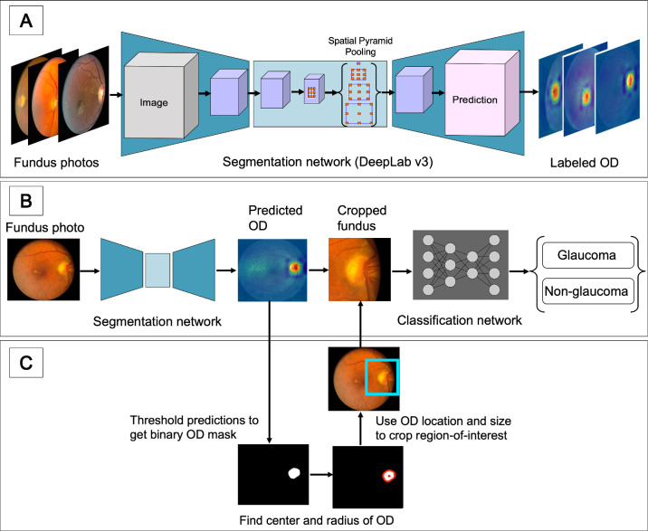 Pipeline flowchart: fundus photos pass through a DeepLab v3 segmentation network to localize and crop the optic disc, which a downstream classification network then labels as glaucoma or non-glaucoma
